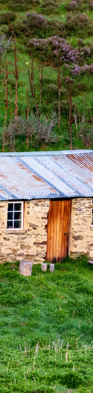 Ophir der Goldgräberort